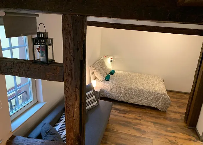 Apartament Historical Town Center Cosy Flat Colmar